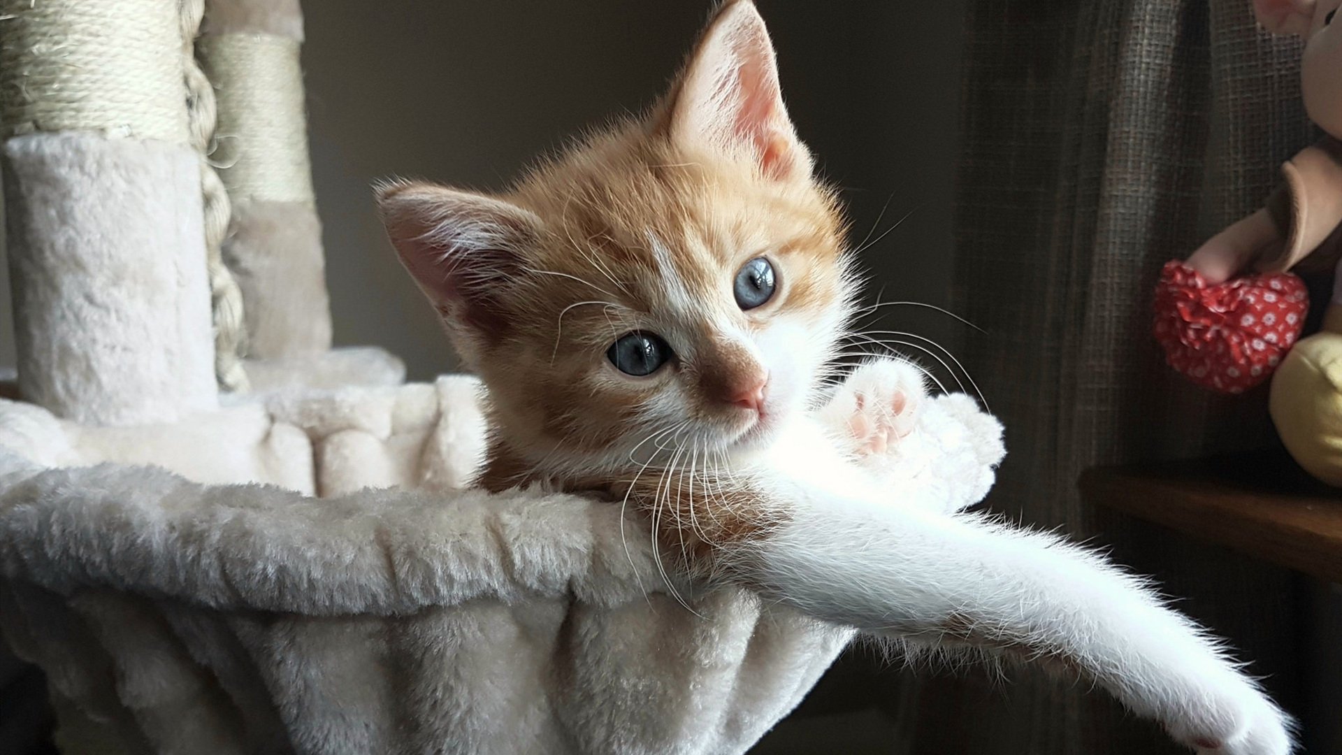 九游电竞官网-_本年度网球赛事回顾：那些令人难忘的瞬间_，网球赛事欣赏