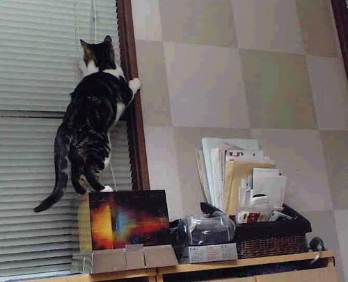 九游体育电竞-“联盟最神奇的记录，从未打破的奇迹”，英雄联盟能创造奇迹的英雄